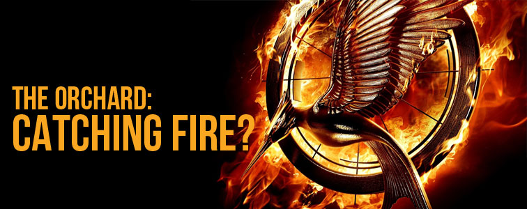 lifegroup-questions-catching-fire-steve-dusek